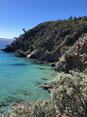 Rez De Jardin Cavalaire-sur-Mer