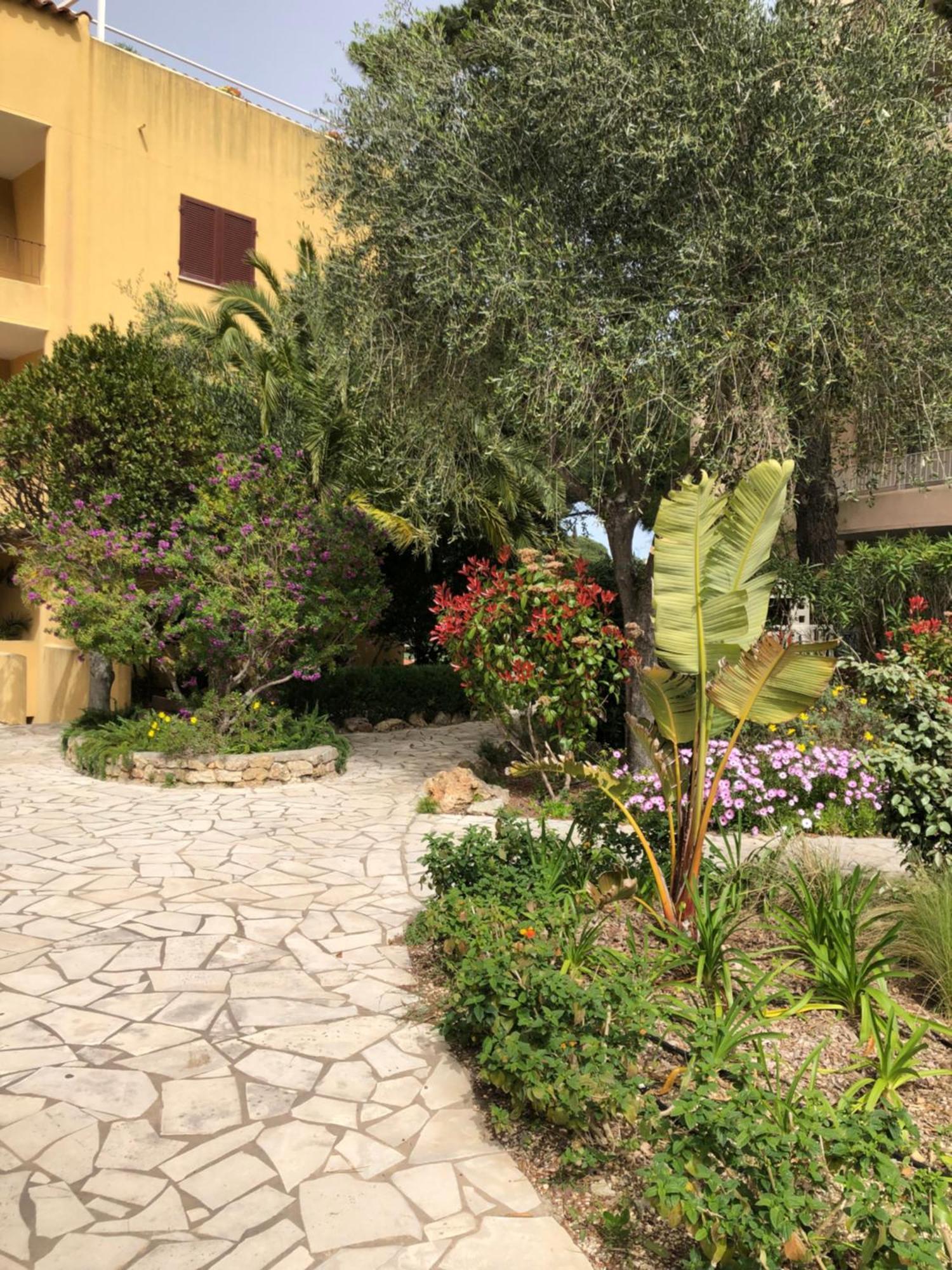 Apartment Rez De Jardin Cavalaire-sur-Mer