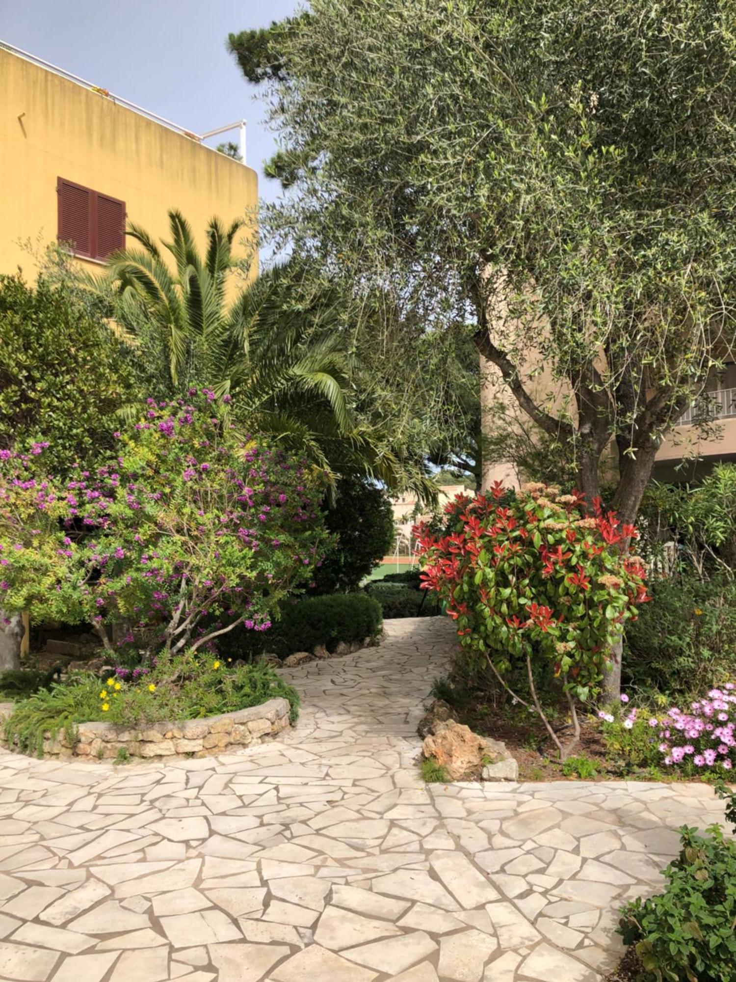 Rez De Jardin