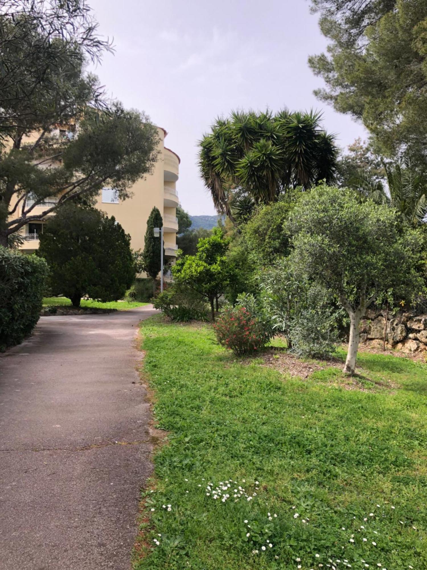 Apartment Rez De Jardin *